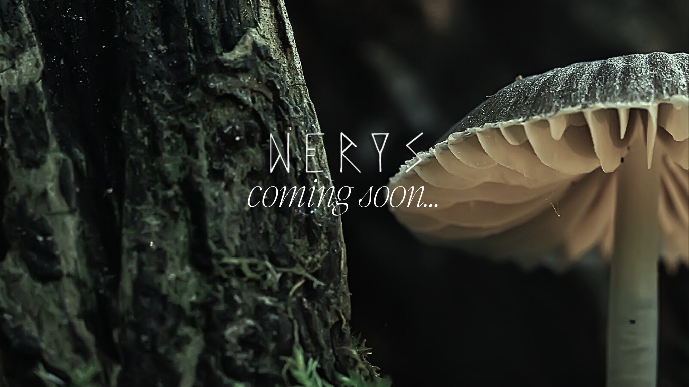 Nerys, coming soon: moss on old bark beside a pale mushroom in the dark